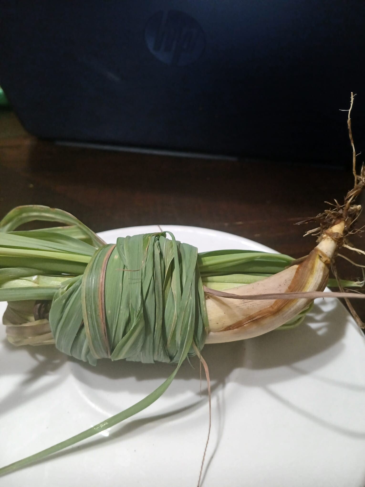 Fey Citronelle