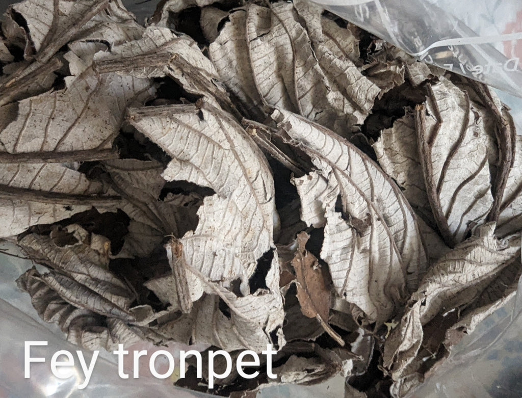 Fey Tronpet