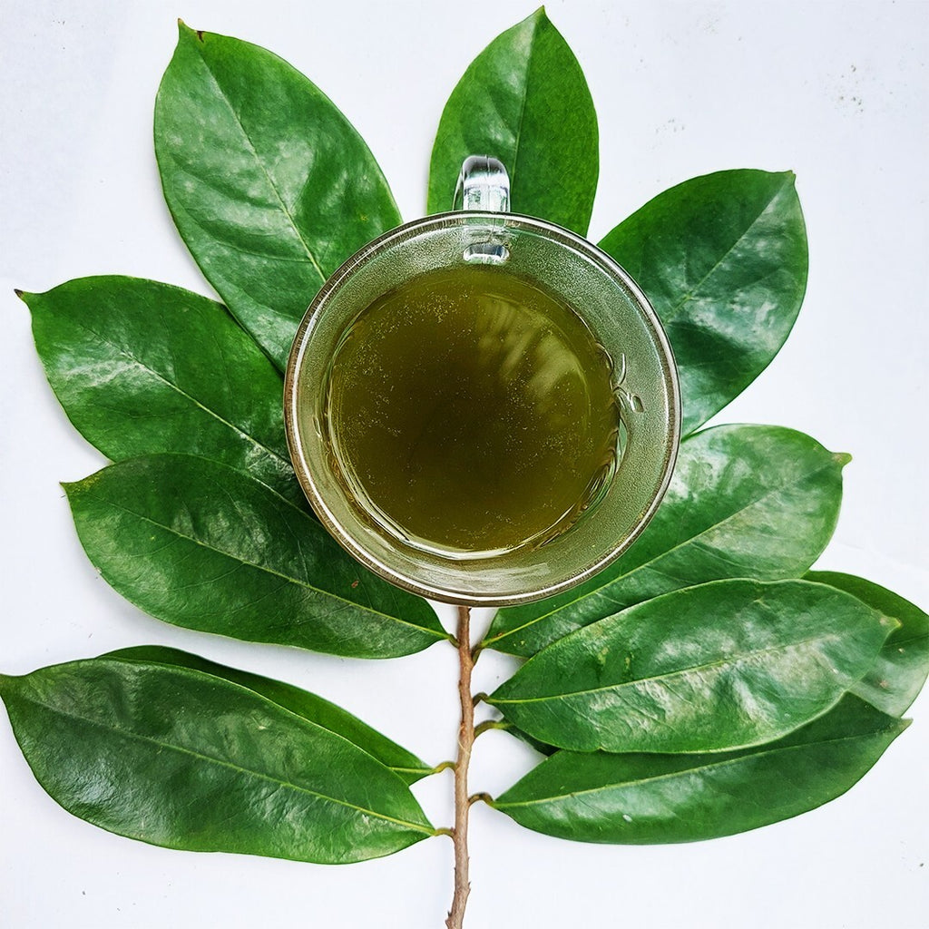 Fey korosol