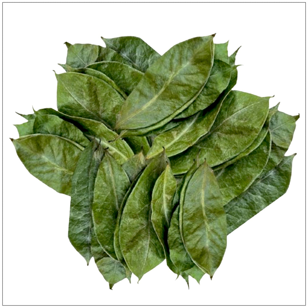 Fey korosol